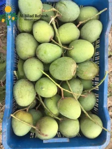 গোপালভোগ আম ১০kg