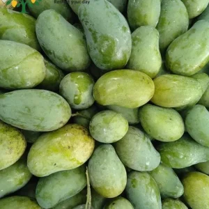 আম রূপালি ১০kg